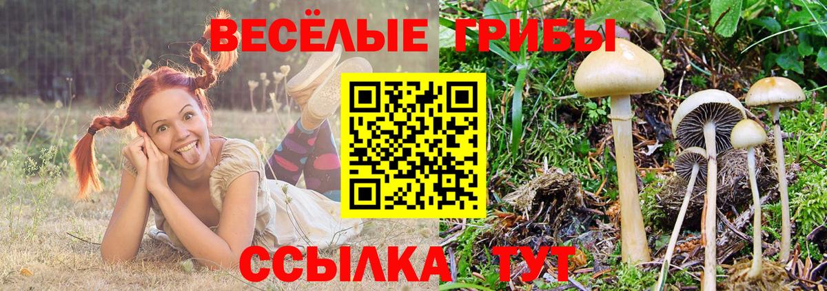 Псилоцибиновые грибы ЛСД  Вход с VPN  Псилоцибиновые грибы мухоморы  Владикавказ 